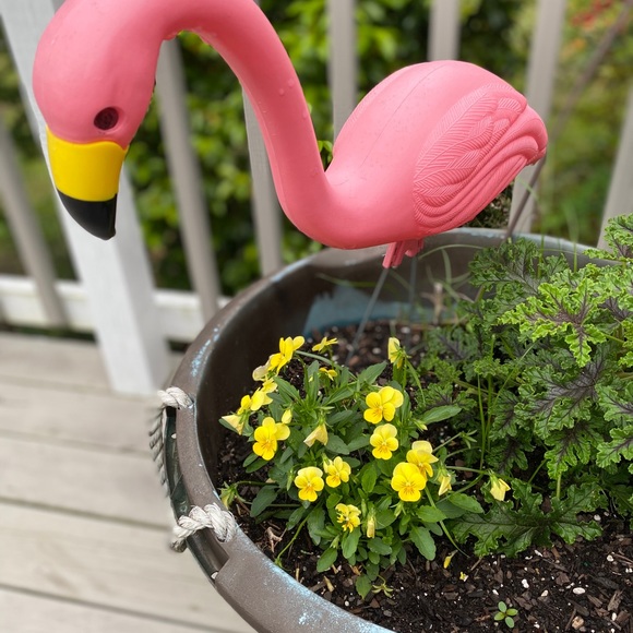 CLEARING OUT CLOSET SALE ๐บ - Picture 8 of 12